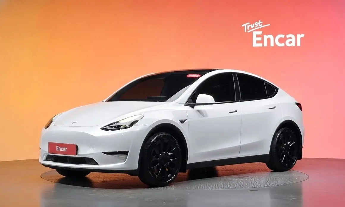 Tesla Model Y — фото 1