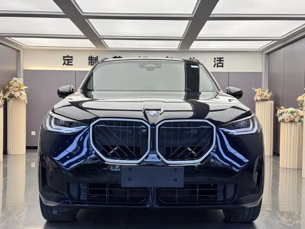 BMW X3 — фото 10