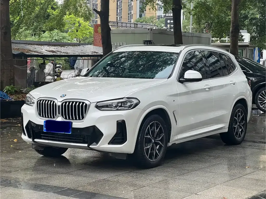BMW X3 — фото 1