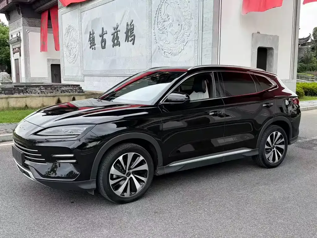 BYD PLUS New Energy — фото 1
