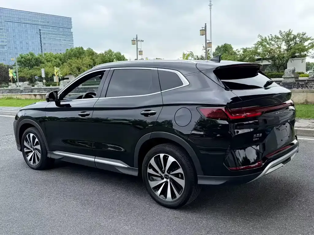 BYD PLUS New Energy — фото 4