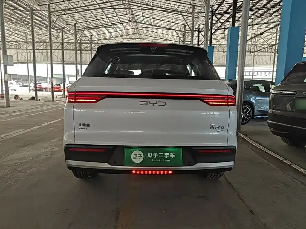 BYD Pro New Energy — фото 4