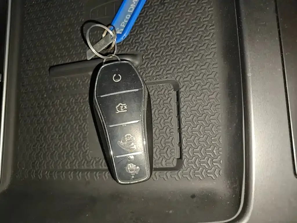 BYD Pro New Energy — фото 5