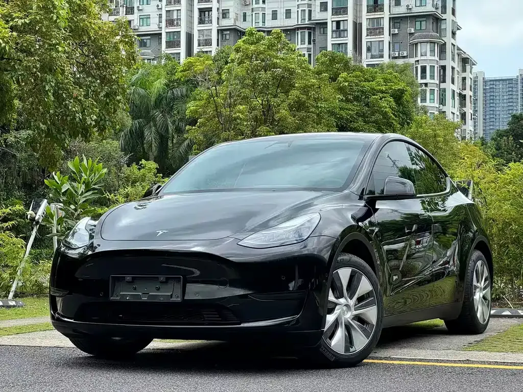Tesla Model Y — фото 1
