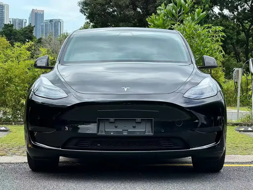 Tesla Model Y — фото 5