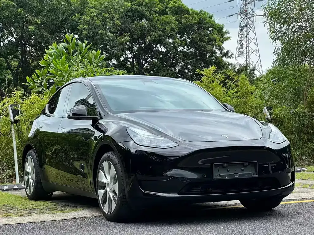 Tesla Model Y — фото 10