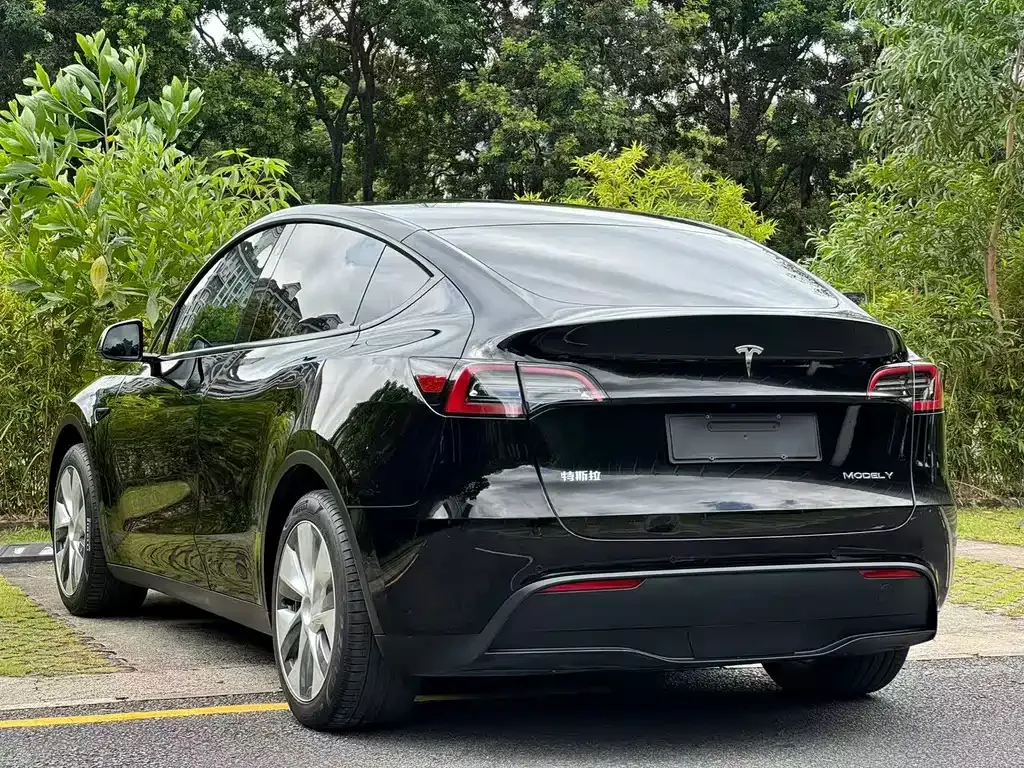 Tesla Model Y — фото 7
