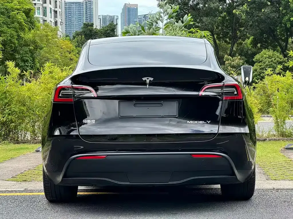 Tesla Model Y — фото 6