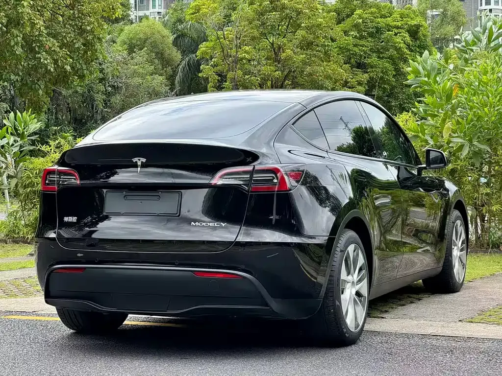Tesla Model Y — фото 8