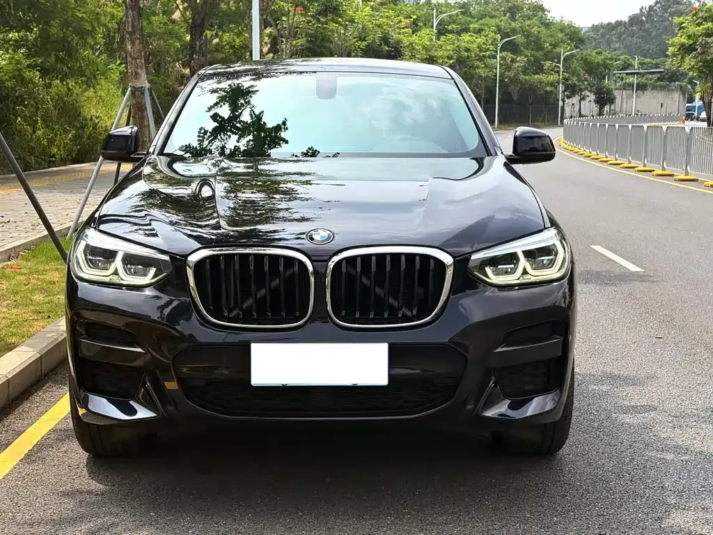 BMW X4 — фото 1