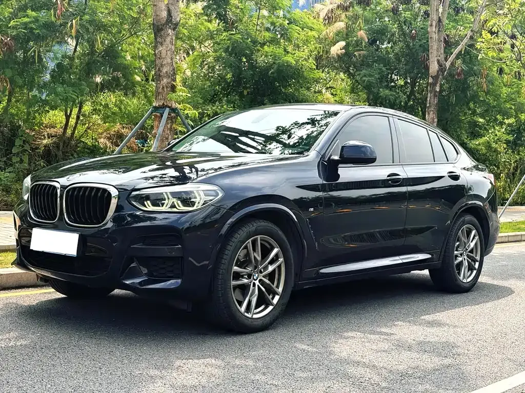 BMW X4 — фото 6