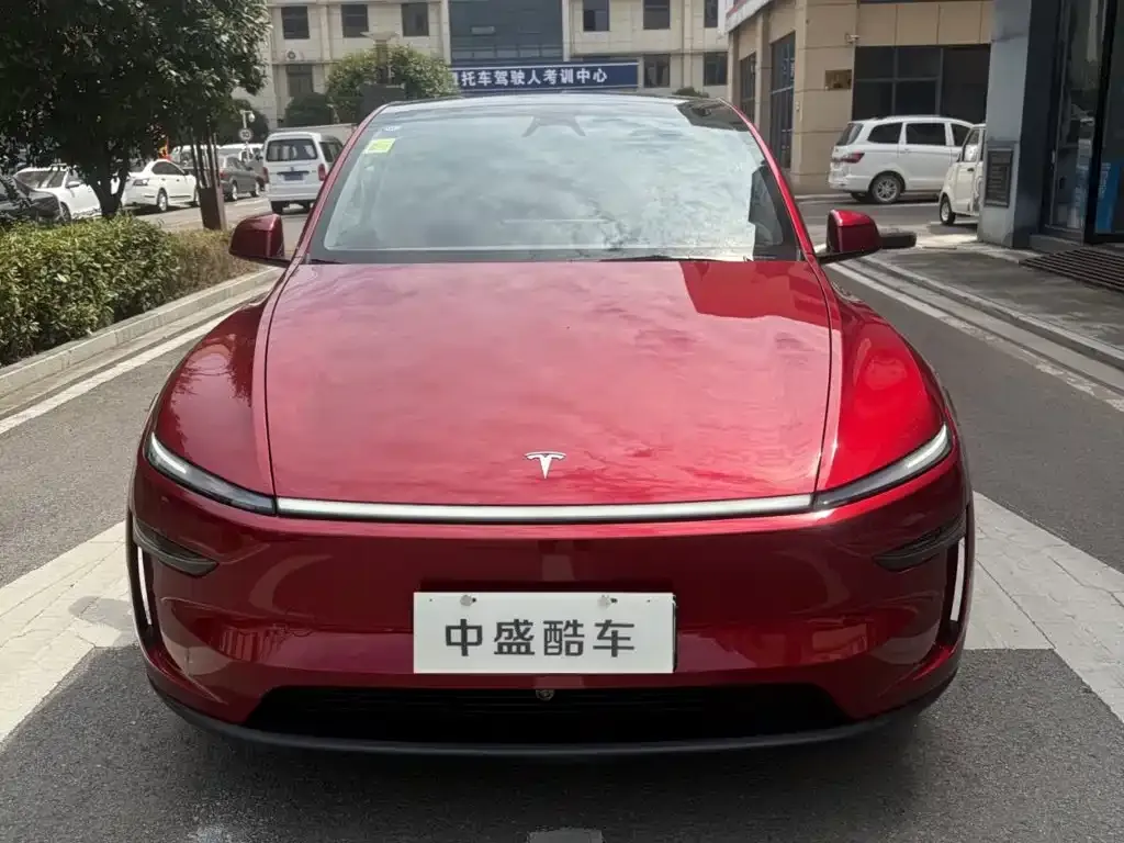 Tesla Model Y — фото 8