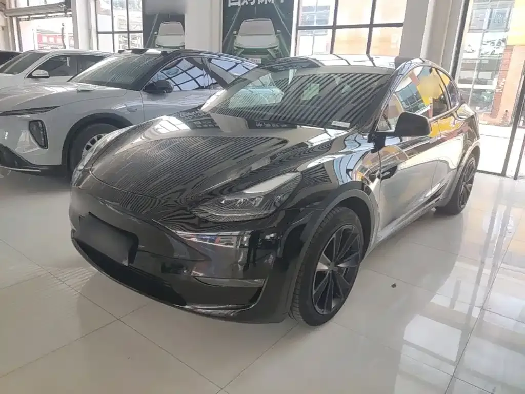 Tesla Model Y — фото 10