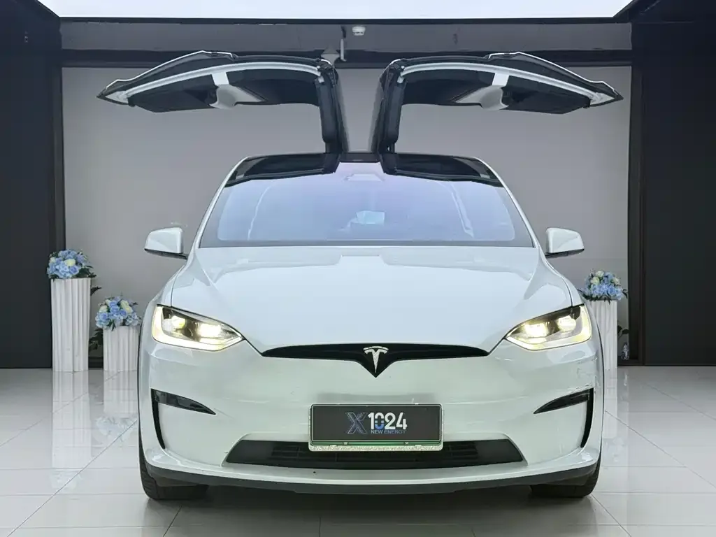 Tesla Model X — фото 3