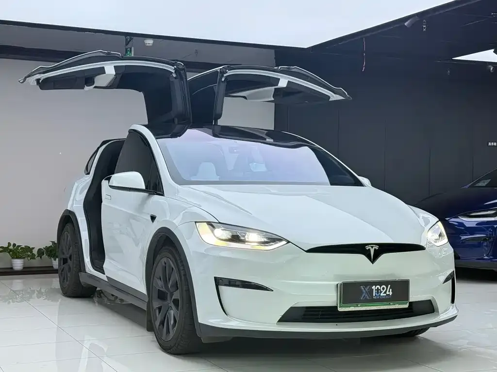 Tesla Model X — фото 8