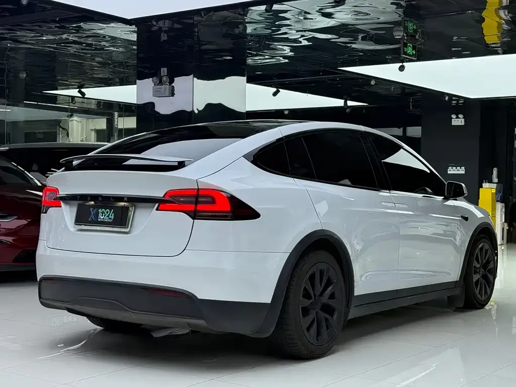 Tesla Model X — фото 5