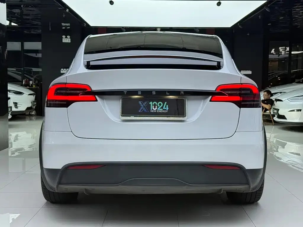 Tesla Model X — фото 9