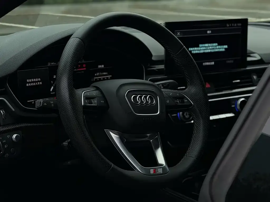 Audi S5 — фото 10