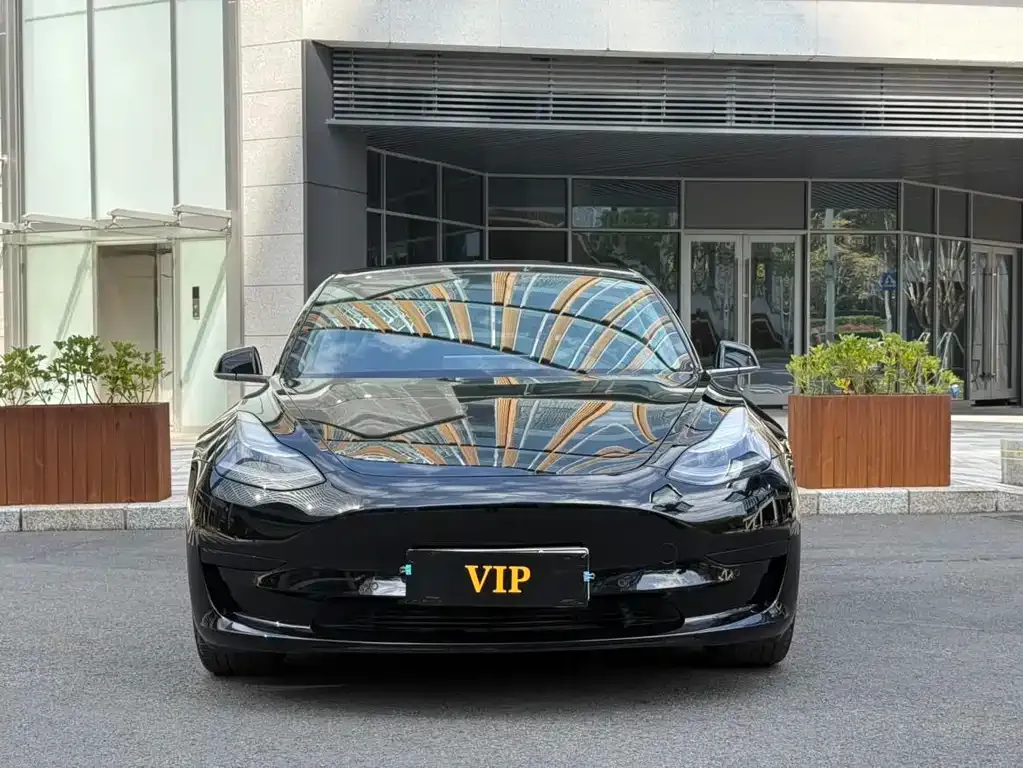 Tesla Model 3 — фото 2