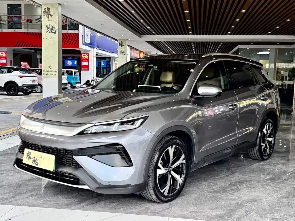 BYD Pro New Energy — фото 1