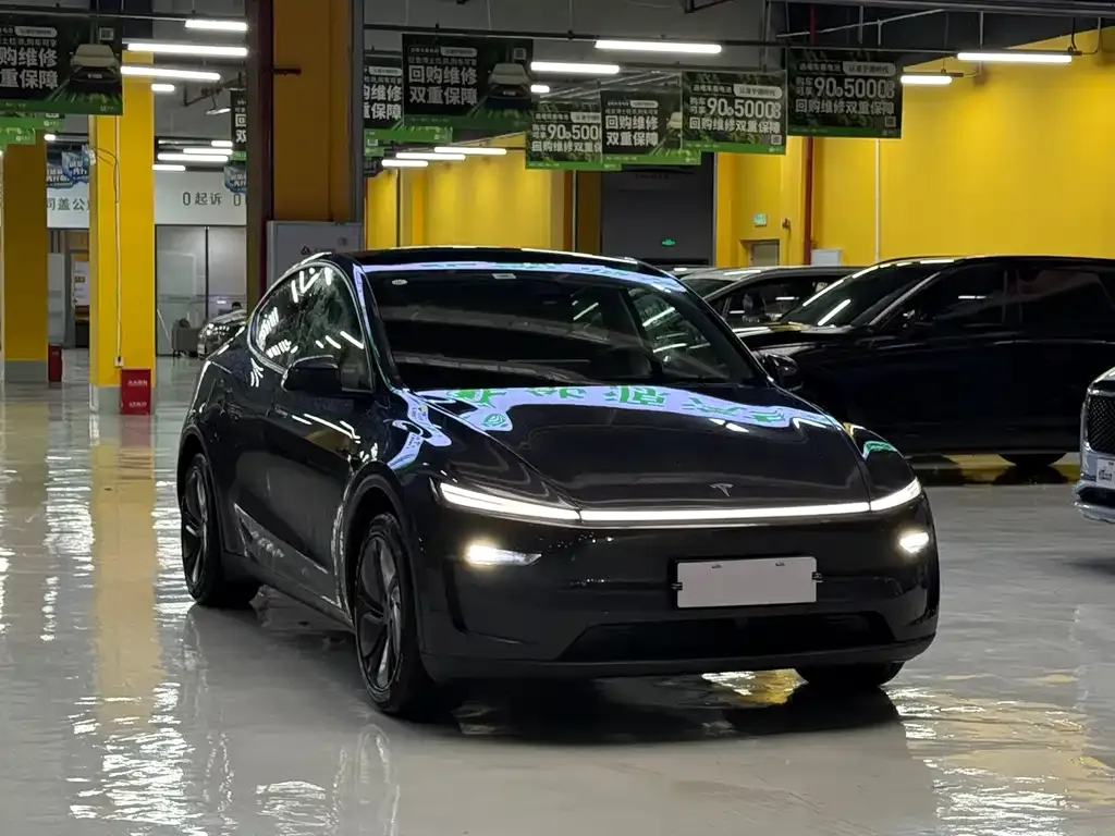 Tesla Model Y — фото 3