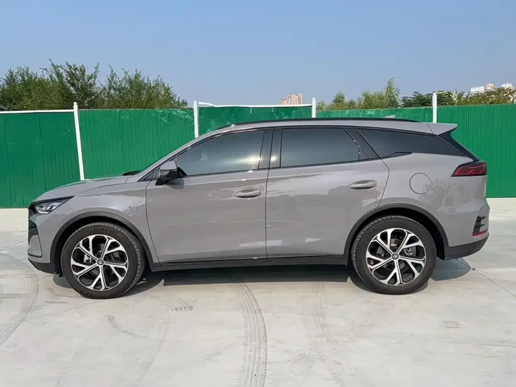 BYD Tang New Energy — фото 4