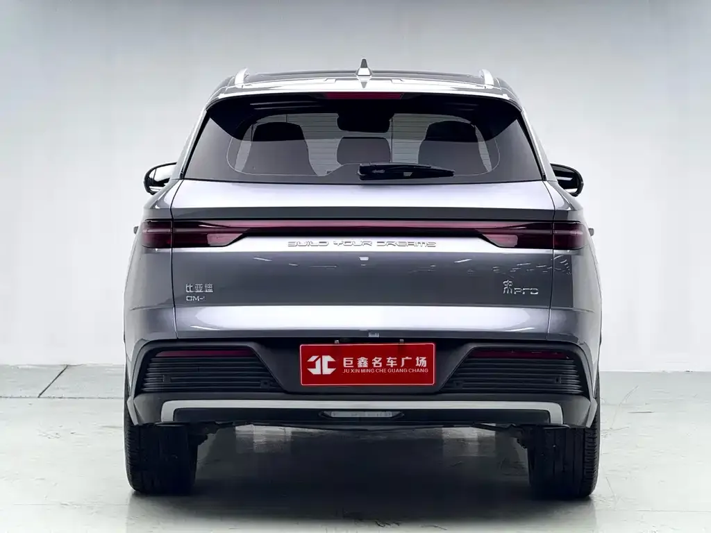 BYD Pro New Energy — фото 9