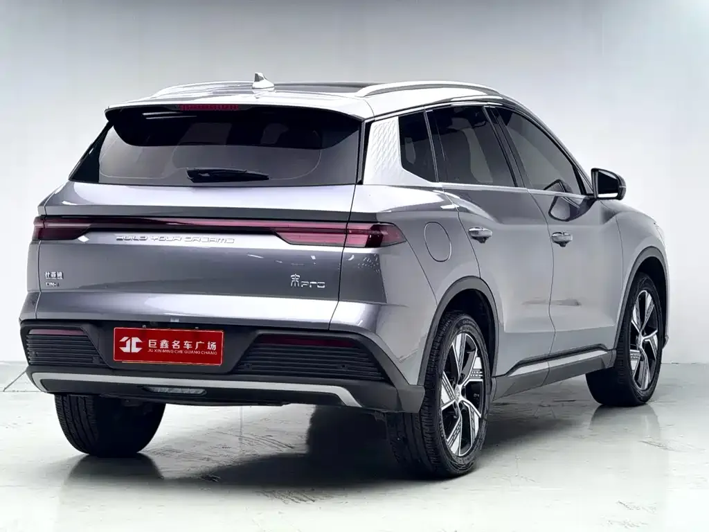 BYD Pro New Energy — фото 3