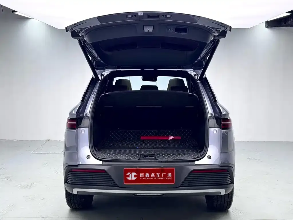 BYD Pro New Energy — фото 2