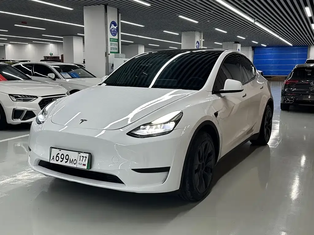 Tesla Model Y — фото 1