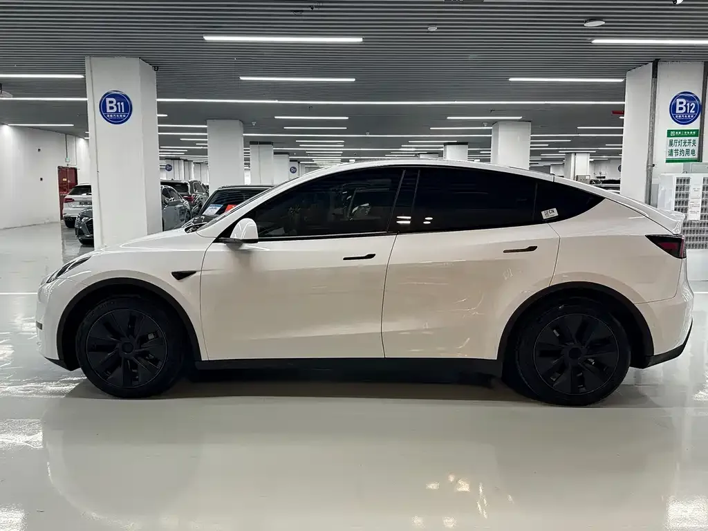 Tesla Model Y — фото 3