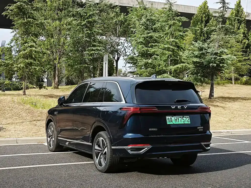 Wey Lanshan — фото 7