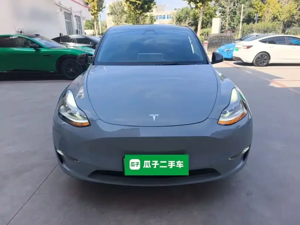 Tesla Model Y — фото 10