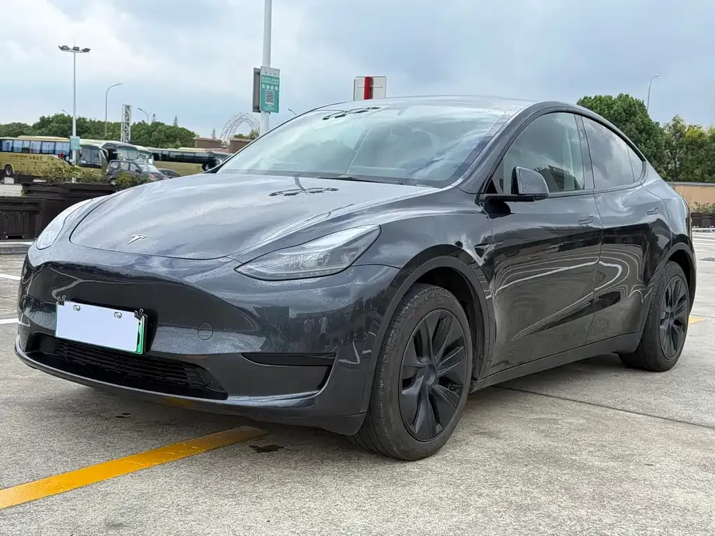 Tesla Model Y — фото 1