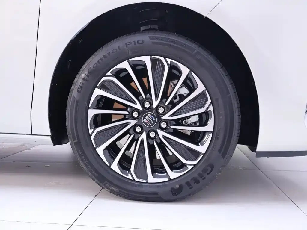 Buick GL8 Hybrid — фото 10