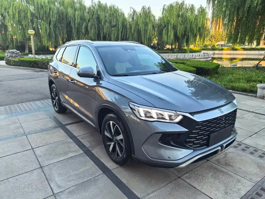 BYD Pro New Energy — фото 3
