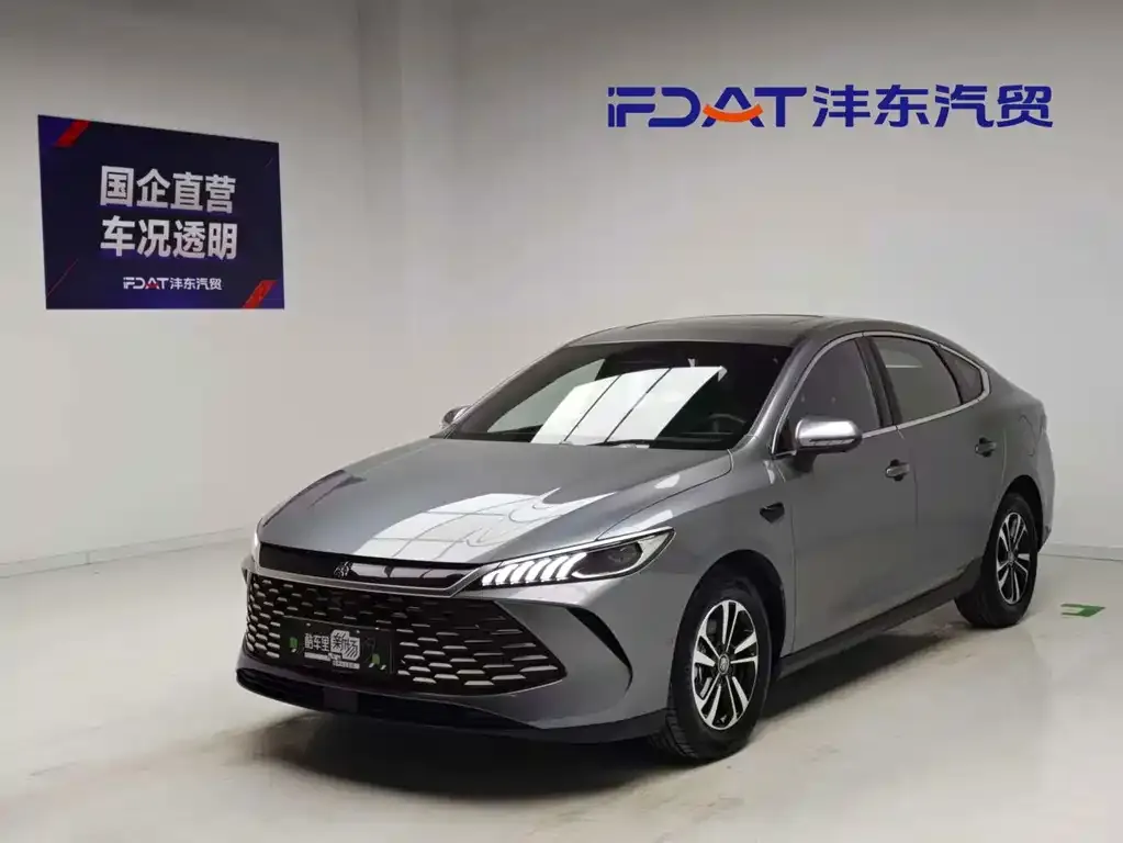 BYD Qin PLUS — фото 1