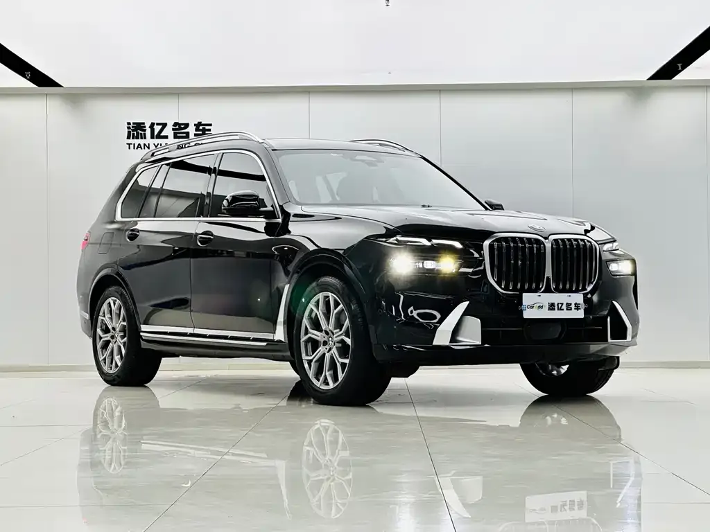 BMW X7 — фото 9