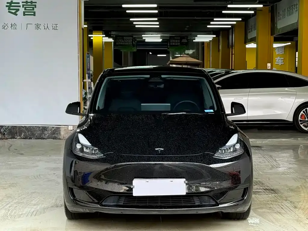 Tesla Model Y — фото 2