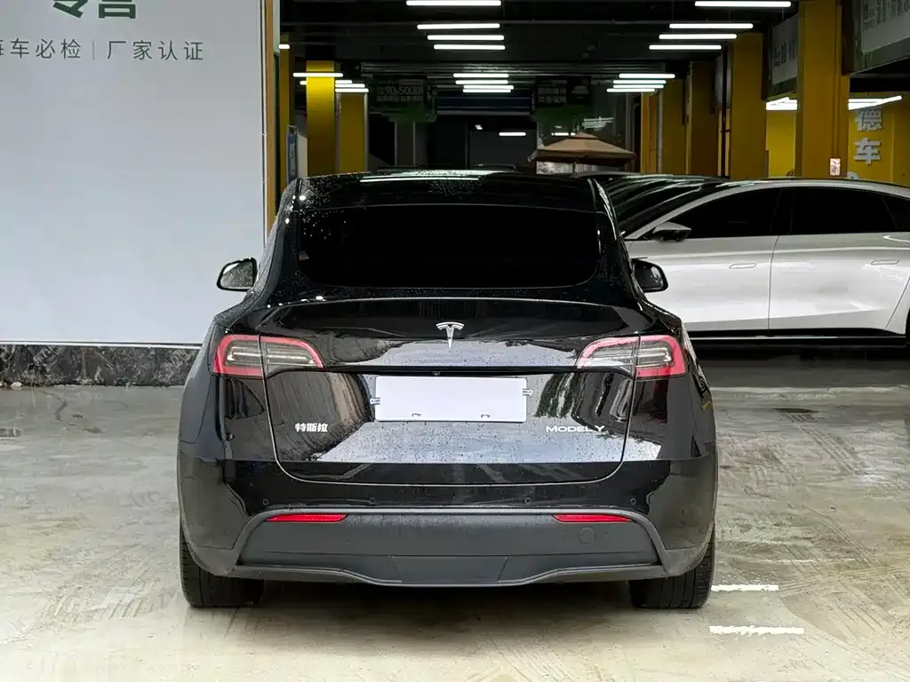 Tesla Model Y — фото 3