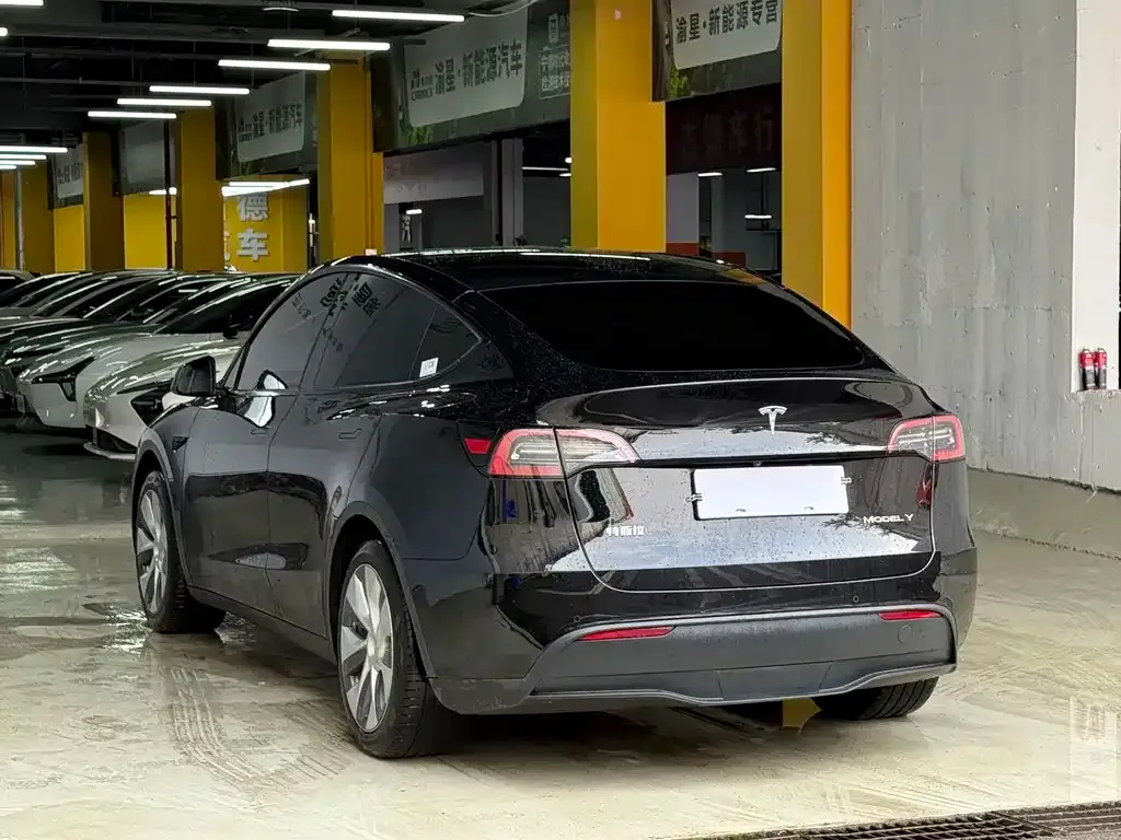 Tesla Model Y — фото 6