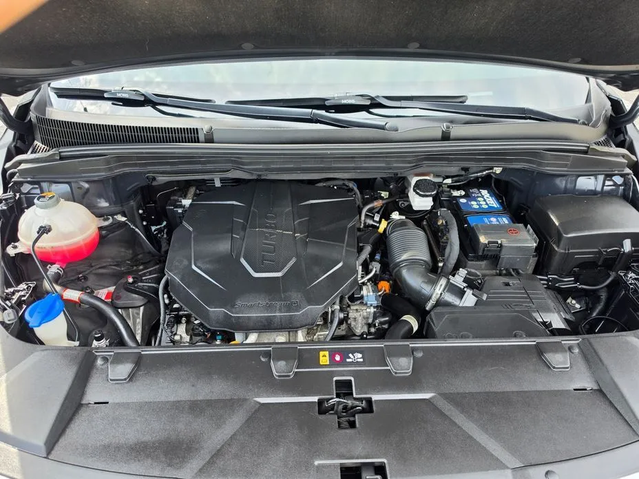 Kia Carnival — фото 10