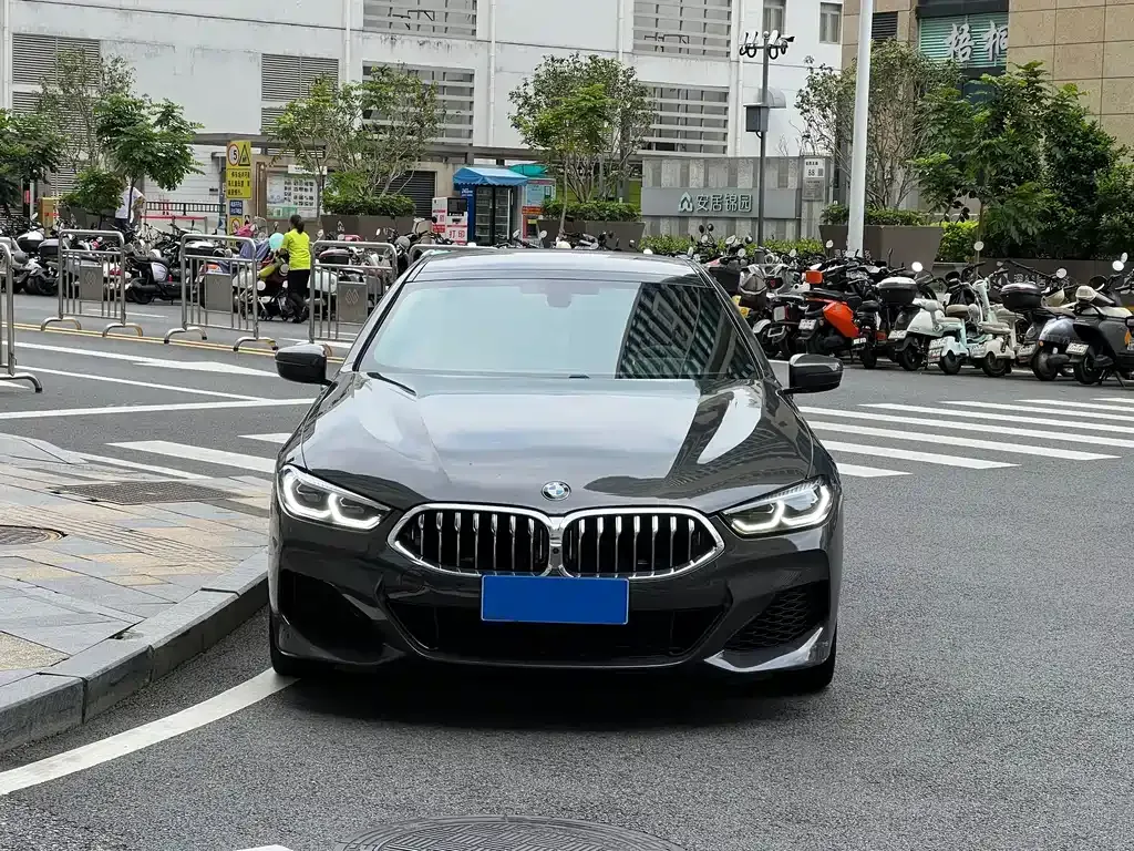 BMW 8 Series — фото 8