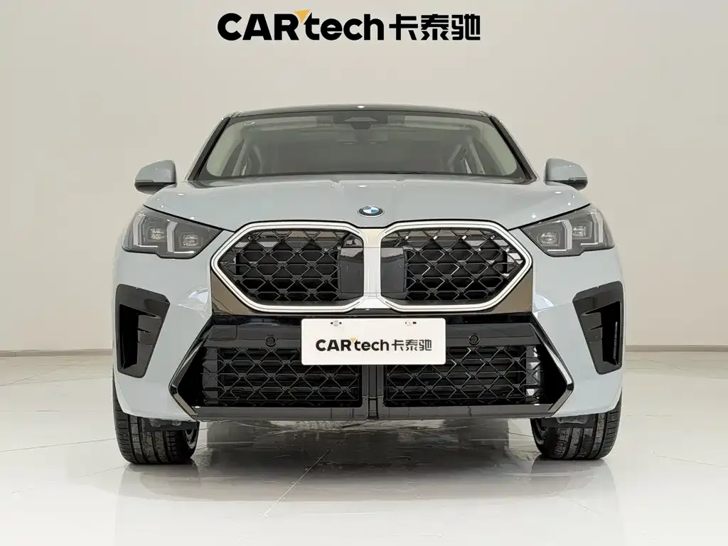 BMW X2 (Import) — фото 10