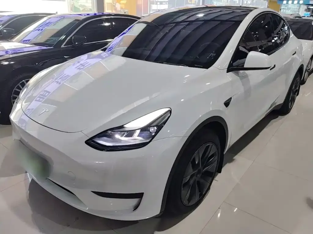 Tesla Model Y — фото 1