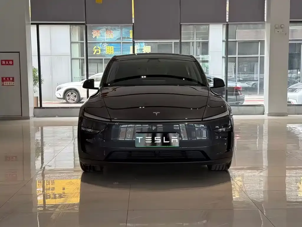 Tesla Model Y — фото 4