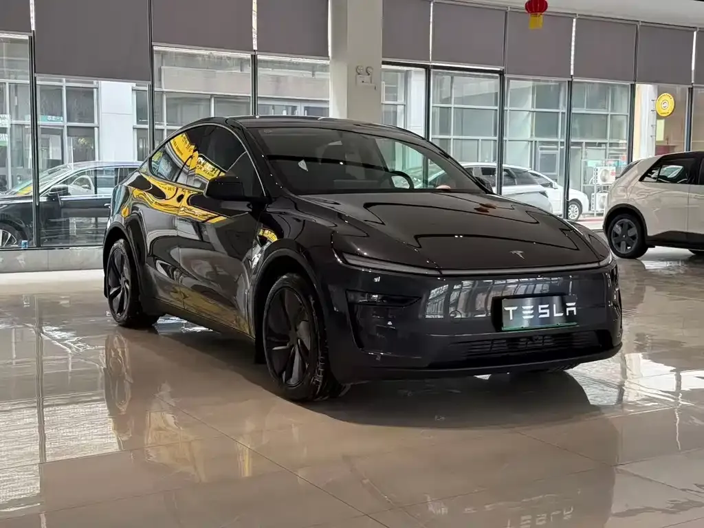 Tesla Model Y — фото 9