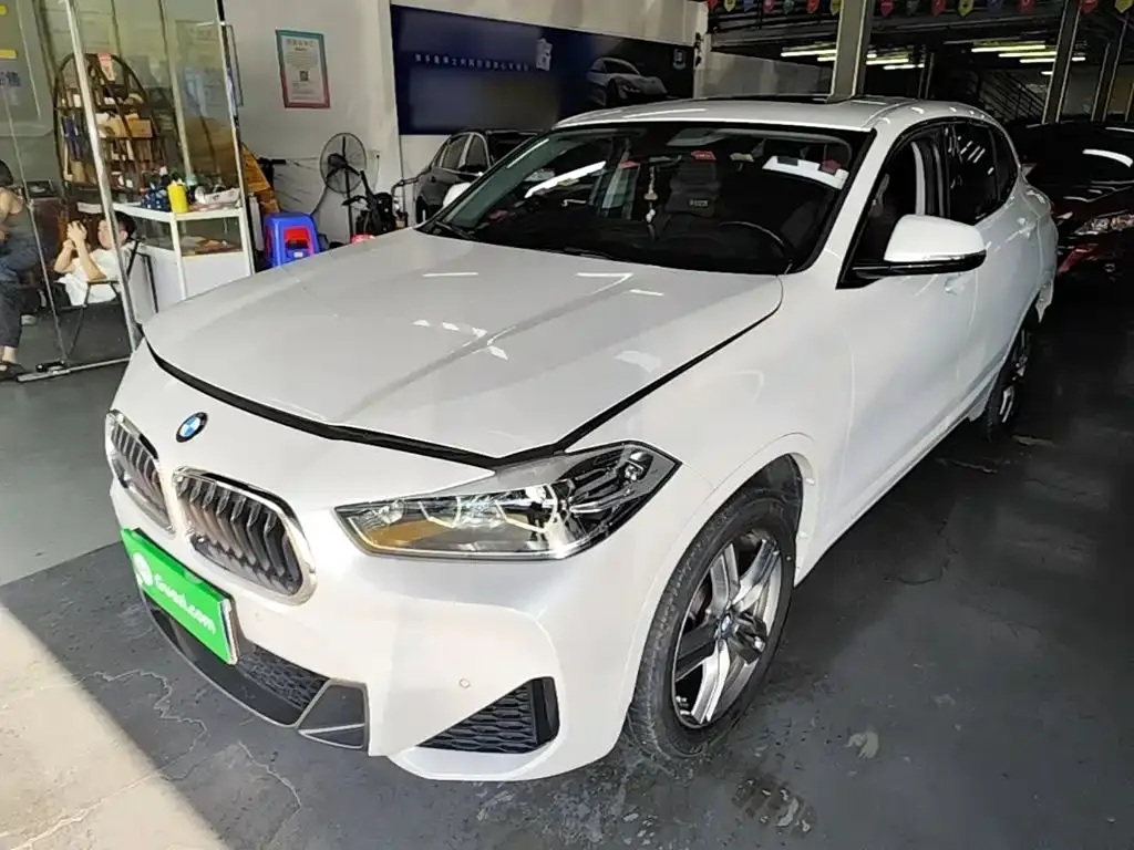 BMW X2 — фото 1