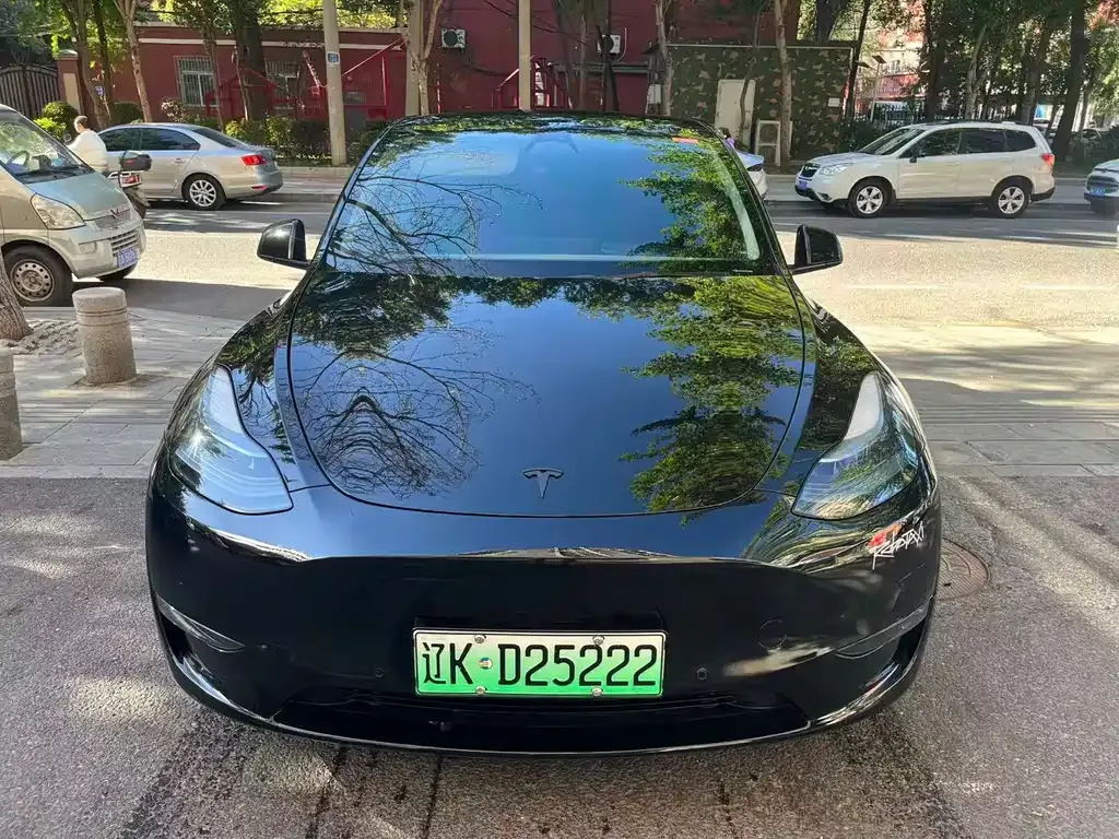 Tesla Model Y — фото 1