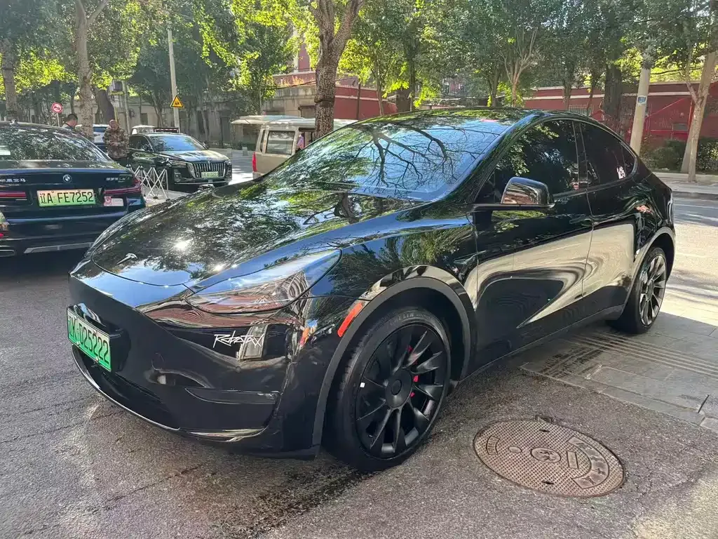 Tesla Model Y — фото 10